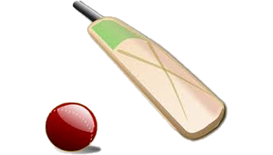 Cricket